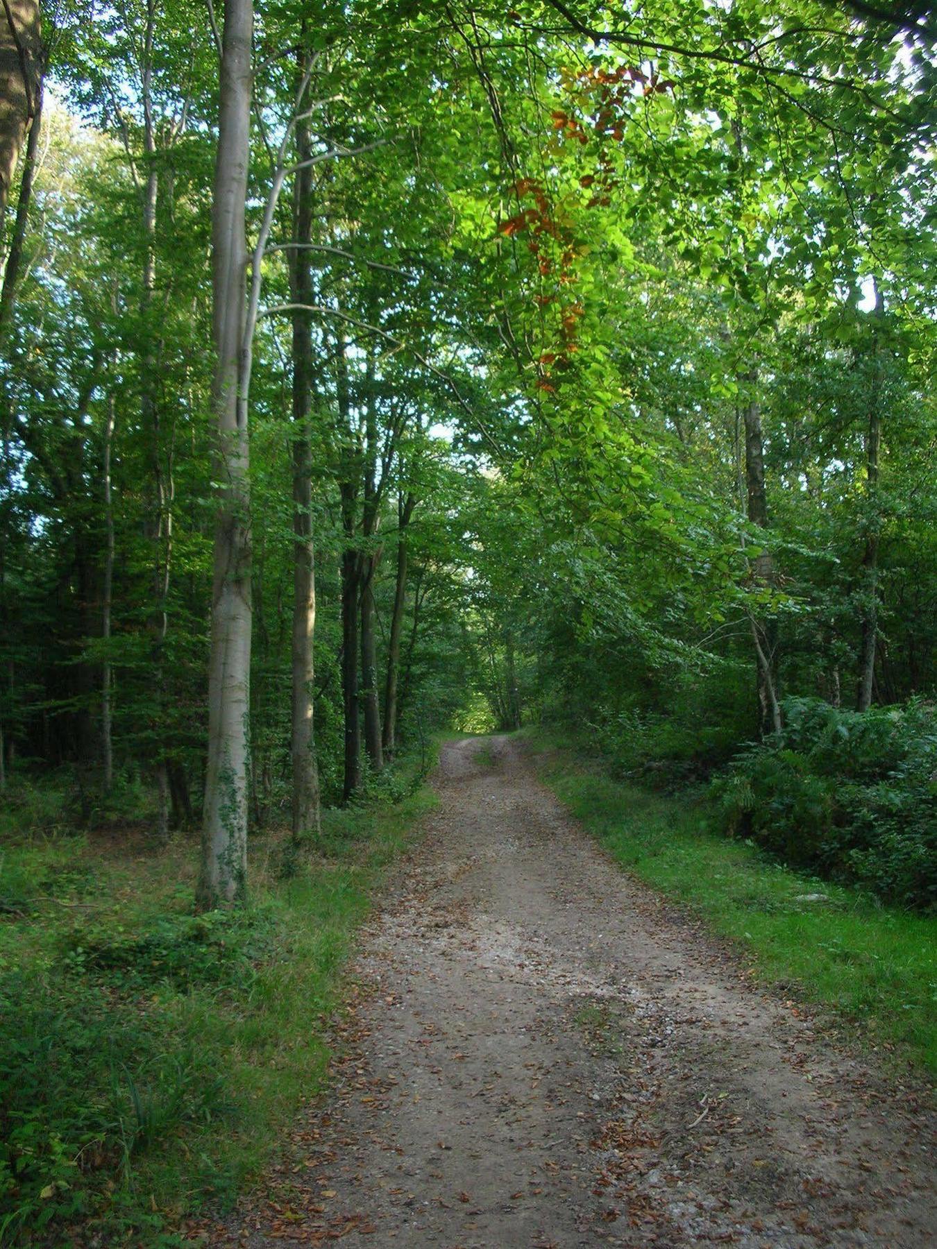 Les Jardins D'Hardelot Ξενοδοχείο Εξωτερικό φωτογραφία